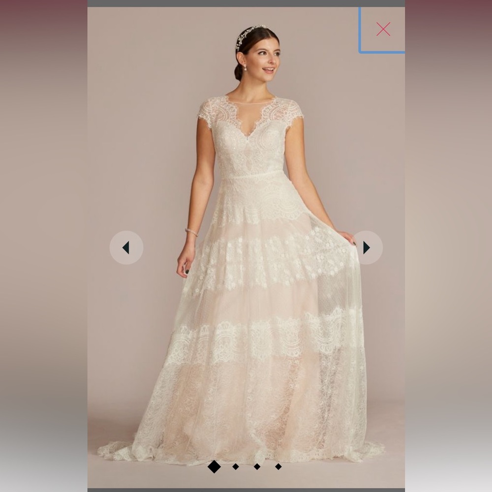 David’s bridal size 12